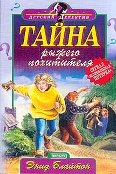 Тайна рыжего похитителя читать онлайн