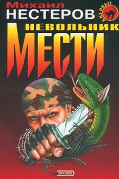 Невольник мести читать онлайн