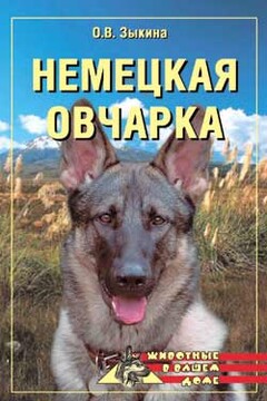 Немецкая овчарка - Ольга Васильевна Зыкина