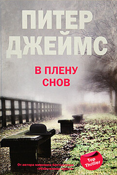 В плену снов читать онлайн