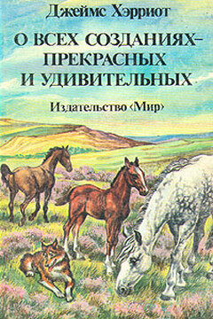 О всех созданиях – прекрасных и удивительных читать онлайн