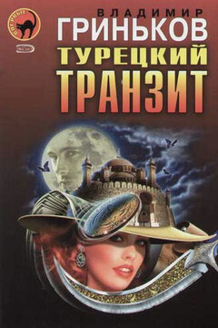 Турецкий транзит - Владимир Васильевич Гриньков