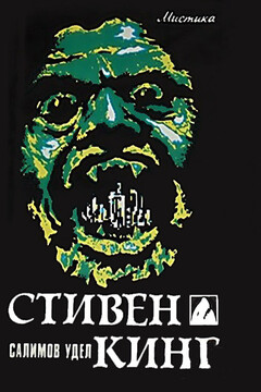 Салимов удел читать онлайн