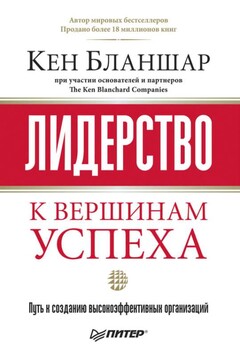 Лидерство: к вершинам успеха читать онлайн