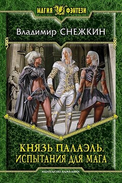 Испытания для мага - Владимир Евгеньевич Снежкин