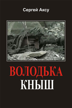 Володька Кныш читать онлайн