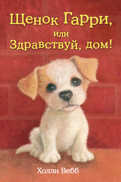 Щенок Гарри, или Здравствуй, дом! - Холли Вебб