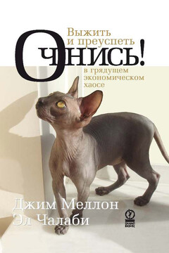 Очнись! Выжить и преуспеть в грядущем экономическом хаосе читать онлайн