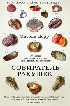 Собиратель ракушек - Энтони Дорр