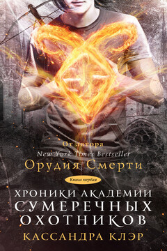 Хроники Академии Сумеречных охотников. Книга 1 читать онлайн