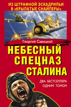 Небесный спецназ Сталина. Из штрафной эскадрильи в «крылатые снайперы» (сборник) читать онлайн