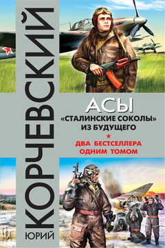 Асы. «Сталинские соколы» из будущего читать онлайн