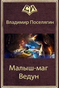 Ведун - Владимир Геннадьевич Поселягин