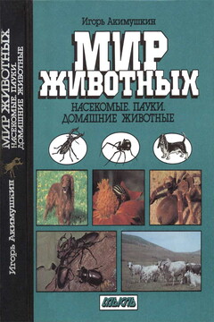 Насекомые. Пауки. Домашние животные читать онлайн