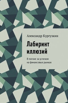 Лабиринт иллюзий. В погоне за успехом на финансовых рынках читать онлайн