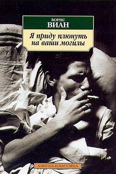 Я приду плюнуть на ваши могилы читать онлайн