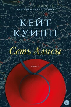 Сеть Алисы читать онлайн