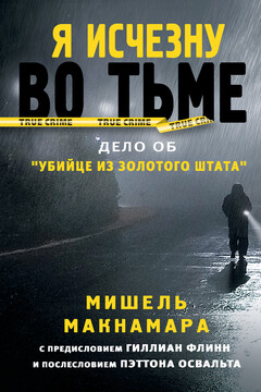Я исчезну во тьме читать онлайн