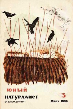 Юный натуралист, 1936 № 03 читать онлайн