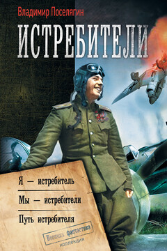Истребители: Я – истребитель. Мы – истребители. Путь истребителя читать онлайн