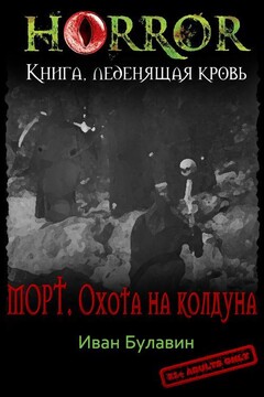Морт. Охота на колдуна - Иван Владимирович Булавин
