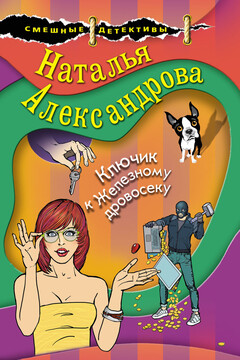 Ключик к Железному дровосеку - Наталья Николаевна Александрова