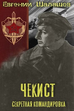Секретная командировка читать онлайн