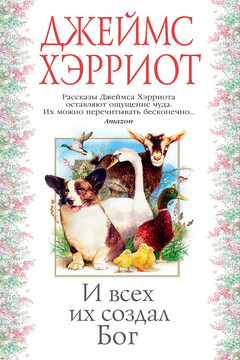 И всех их создал Бог читать онлайн
