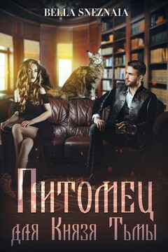 Питомец для Князя Тьмы, или Все любят котиков читать онлайн