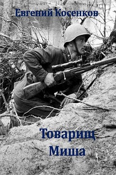Товарищ Миша читать онлайн