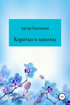 Коротко о многом читать онлайн