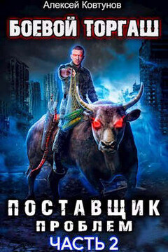 Поставщик проблем. Книга 2 читать онлайн